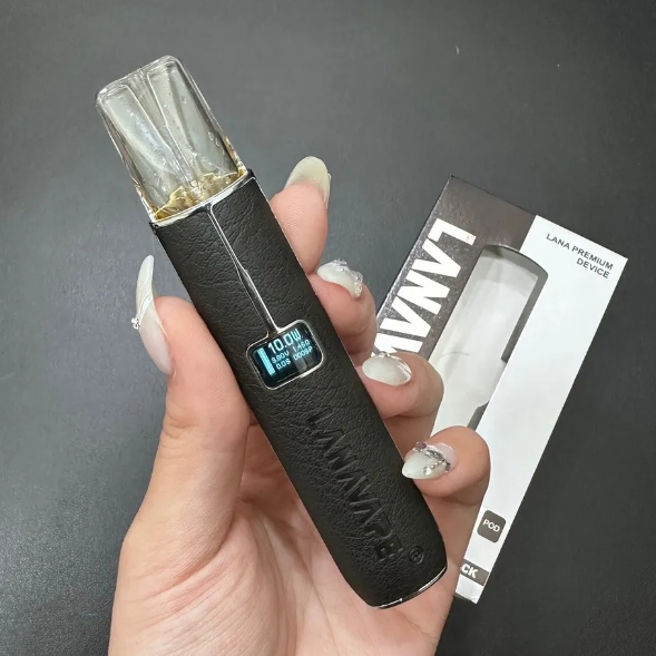 LANA皮革主機顯示屏會有哪些訊息